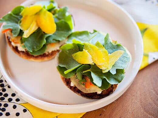 True French sorrel on toast