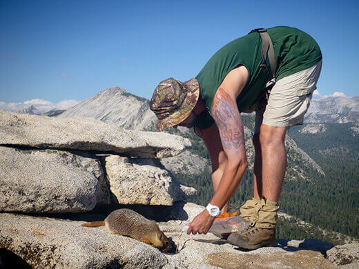 Giving water to the marmot