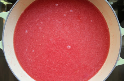 sparkling-watermelon-punch-bowl-with-vodka-step-3