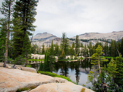 Raisin Lake
