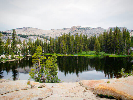 Raisin Lake