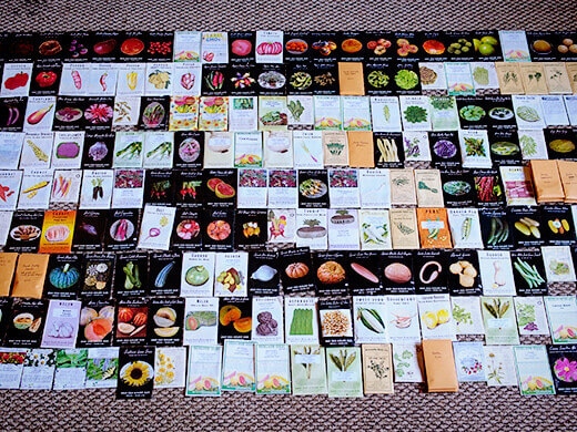 Seed packets