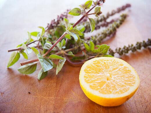 Basil and lemon from the garden