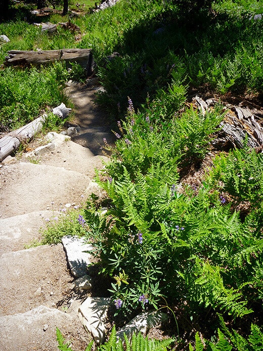 Hiking to Cloud's Rest from Sunrise Lakes