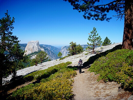 View of Half Dome