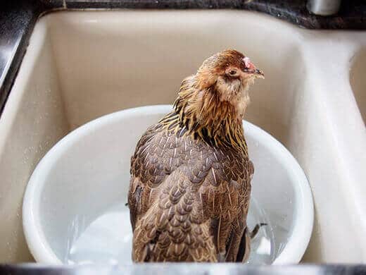 Gisele having a spa day