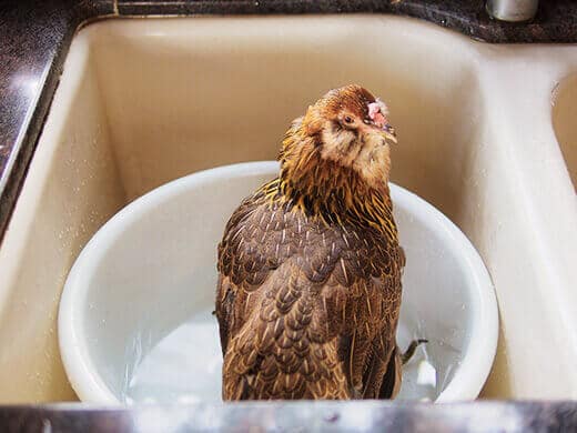 Sitting pretty in a spa bath