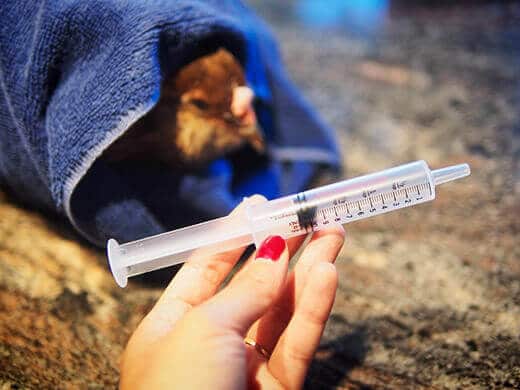 Medicine syringe