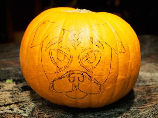 Getting ready to carve