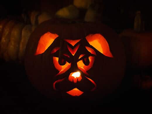 Pug-o-lantern
