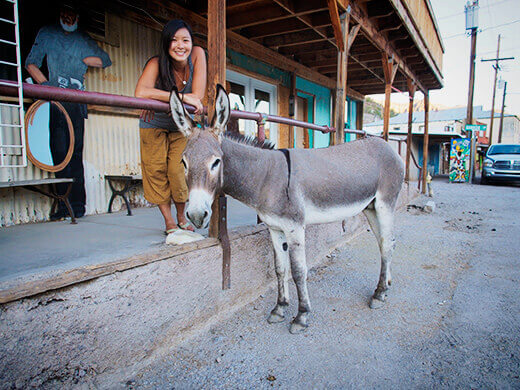 Posing with one of the famous Oatman burros