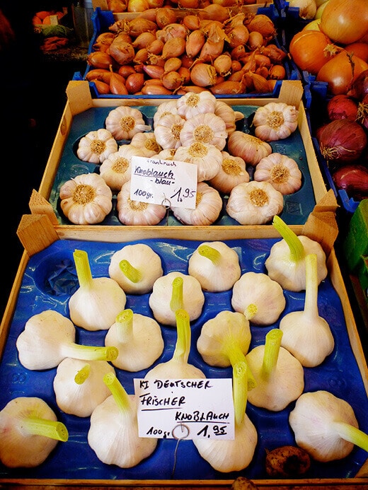 Garlic