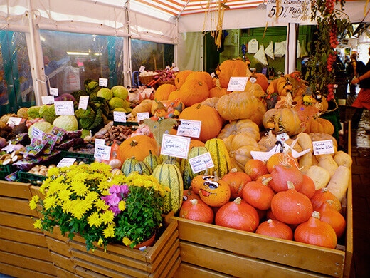 Squash