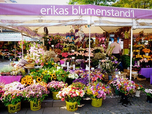 Cut flowers