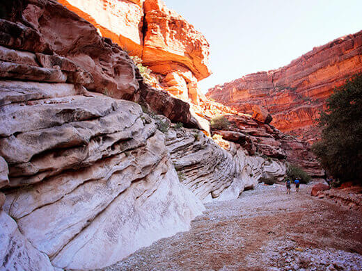 Canyon hike