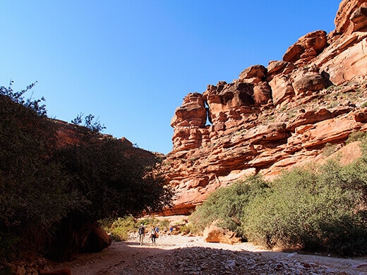 Canyon hike