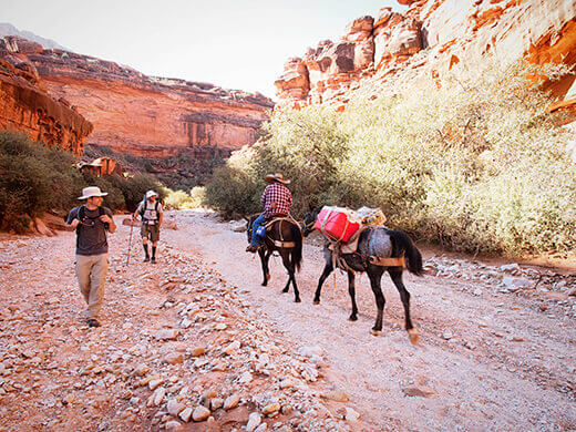Canyon hike