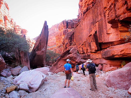 Canyon hike