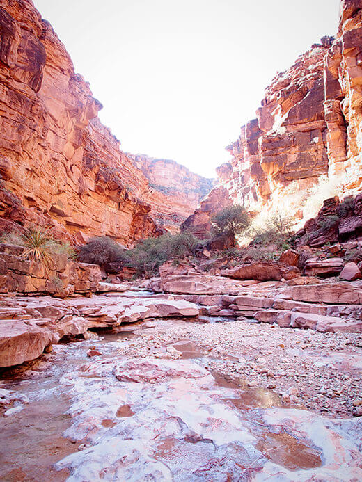 Canyon hike