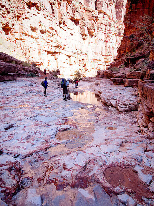 Canyon hike