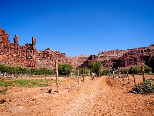 Hiking to Supai