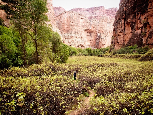 Hiking to Beaver Falls