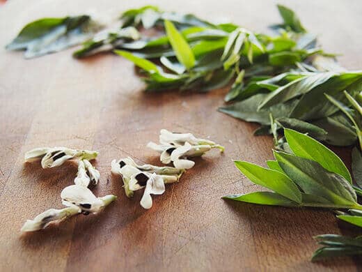 Fava leaves and flowers