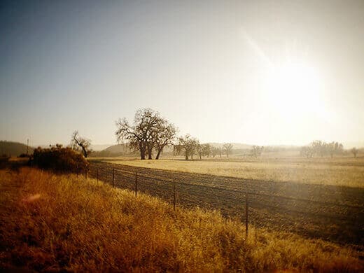 Central Valley back road