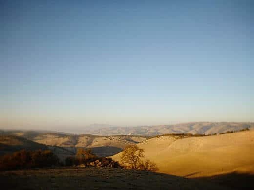 Interlake Road landscape