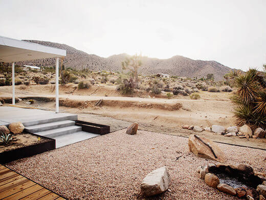 The backyard