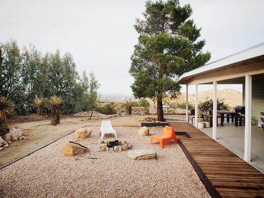 The backyard