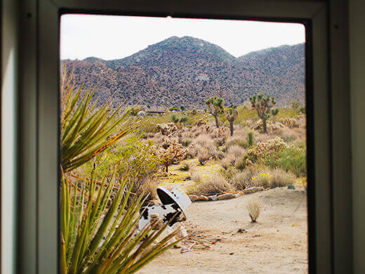 Picture window