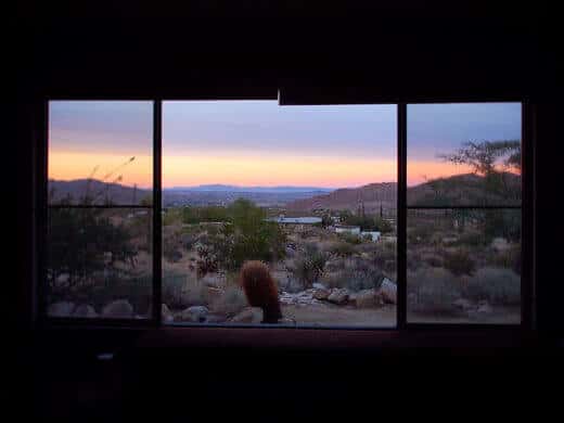 Watching desert TV