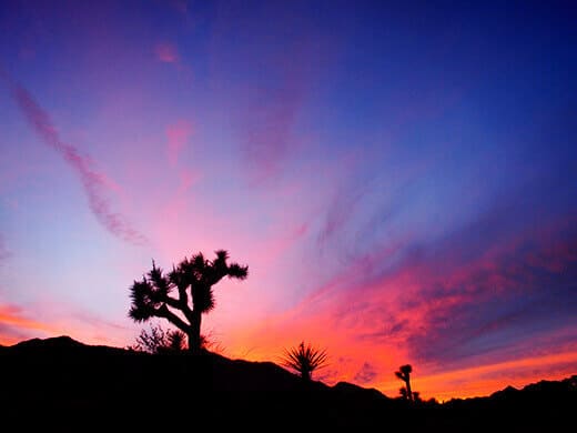 Sunset in Joshua Tree
