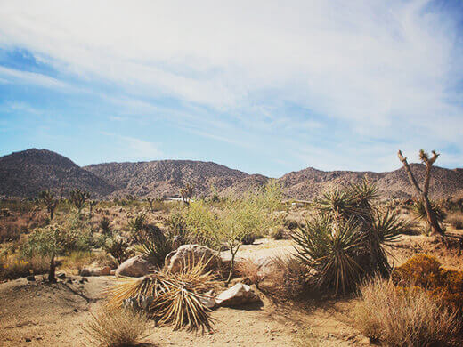 Mojave Desert landscape