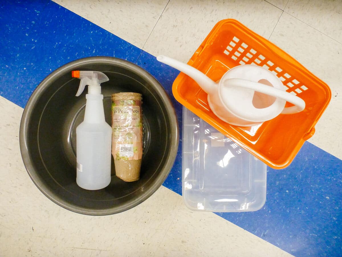 Seed starting supplies from the dollar store