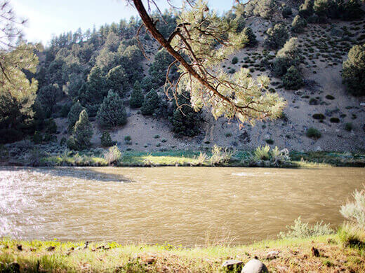 The East Fork Carson in spring