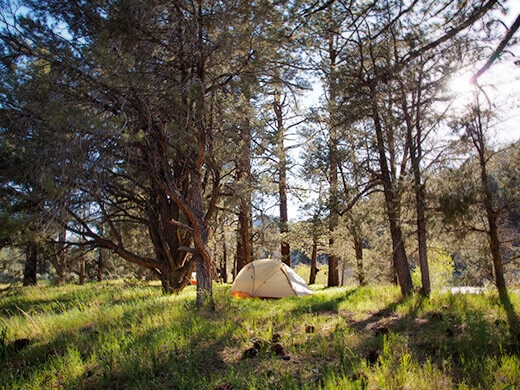 Tent in afternoon light