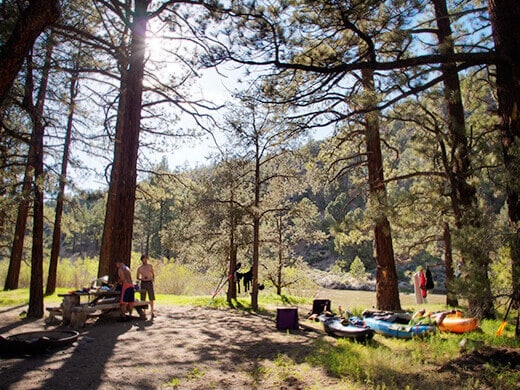 Setting up camp