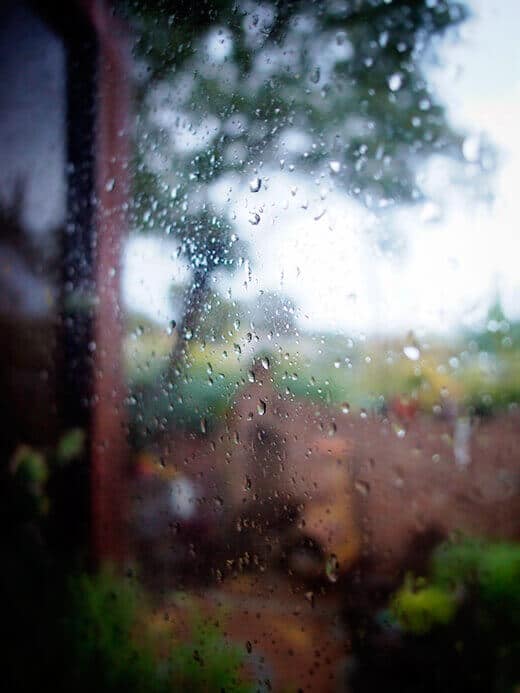 Rare rainy day