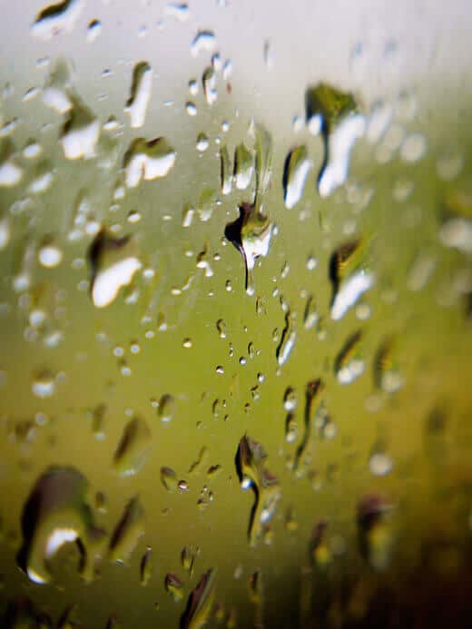 Raindrops