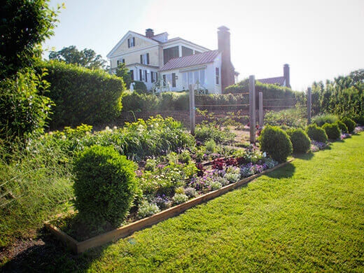 Flower garden