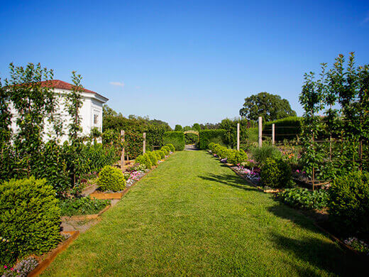 Flower garden