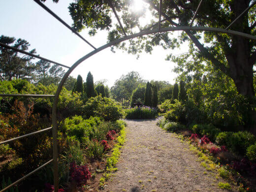 Flower garden