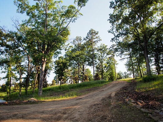 Farm trail