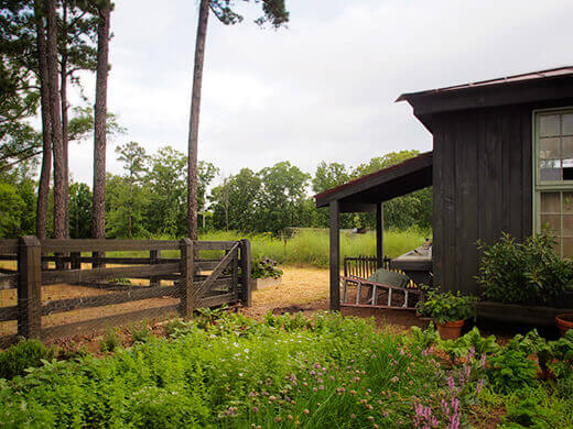 Herb garden
