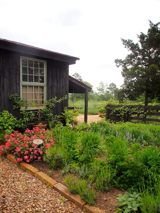 Herb garden