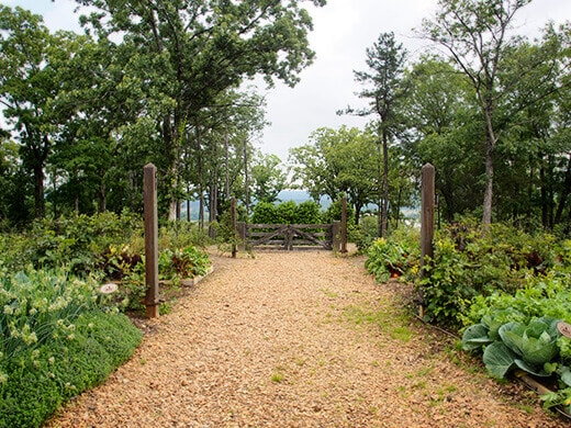 Vegetable garden