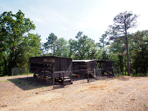 Chicken tractors