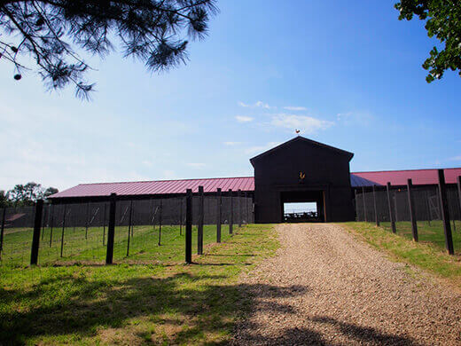 P. Allen Smith's chicken coop